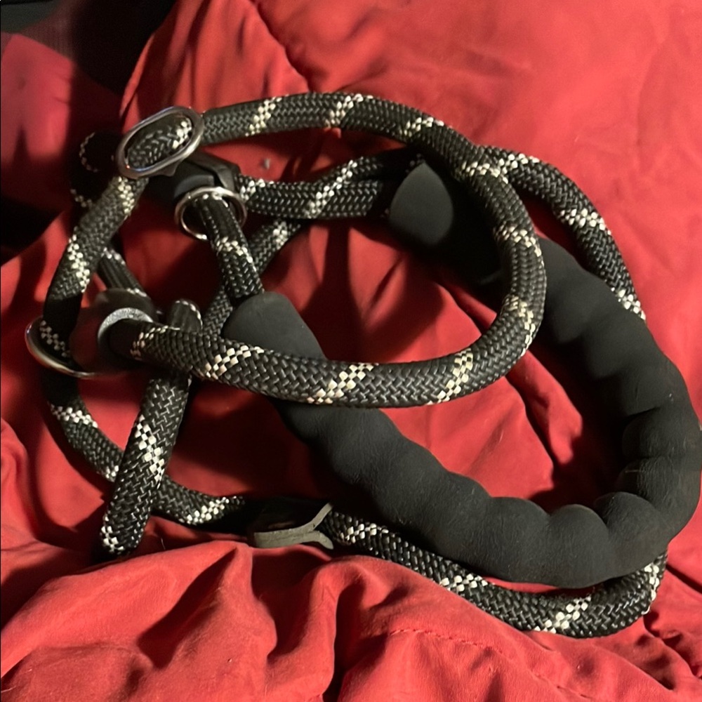 No-Pull Training Rope Dog Leash
